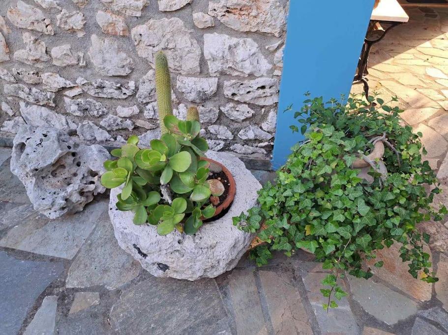Fragosiko - Rustic Retreat In Kefalonia Argostoli  Exterior foto