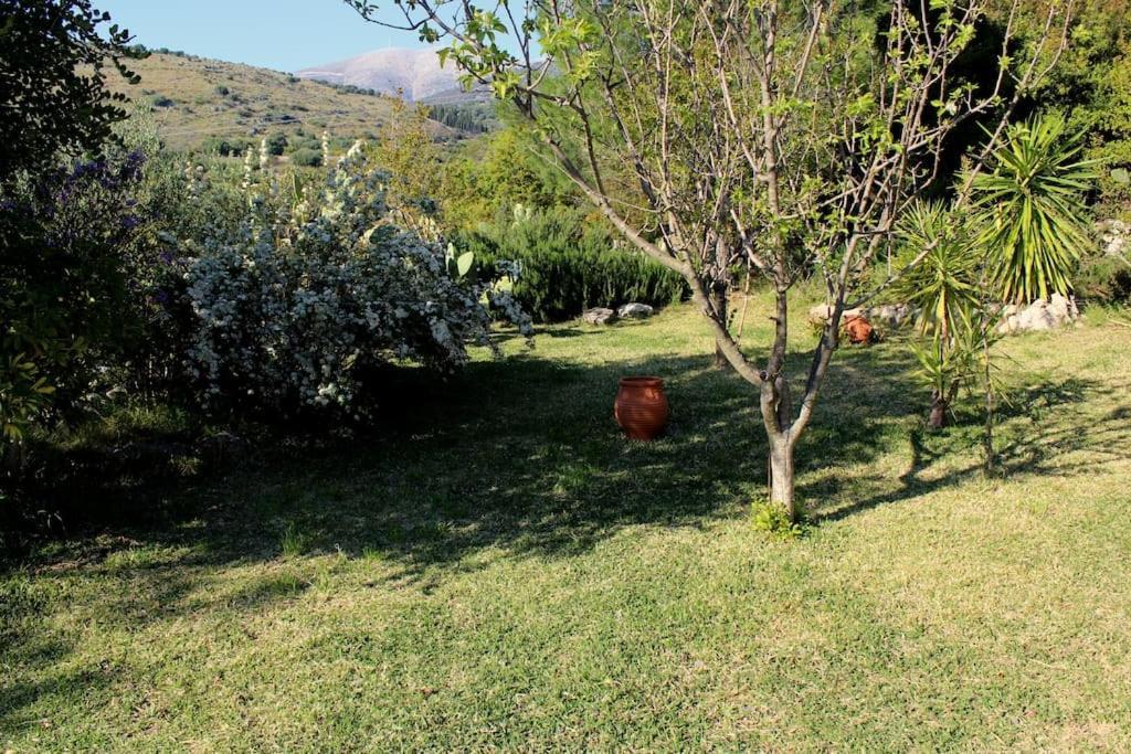 Fragosiko - Rustic Retreat In Kefalonia Argostoli  Exterior foto