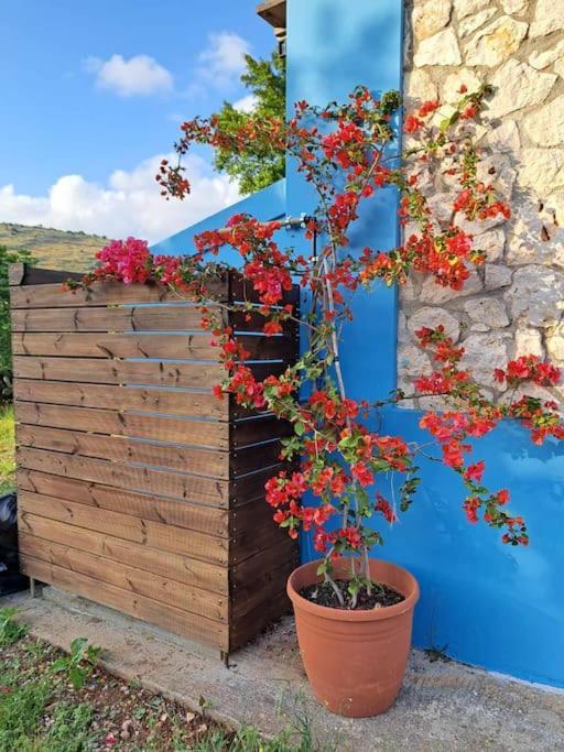 Fragosiko - Rustic Retreat In Kefalonia Argostoli  Exterior foto